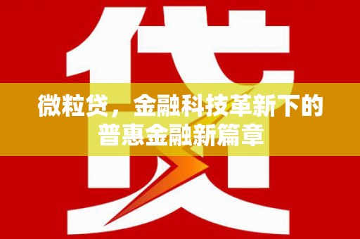 万丹微粒贷，金融科技革新下的普惠金融新篇章