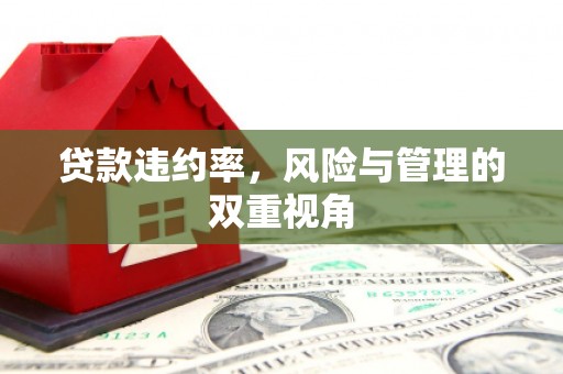 万丹贷款违约率，风险与管理的双重视角
