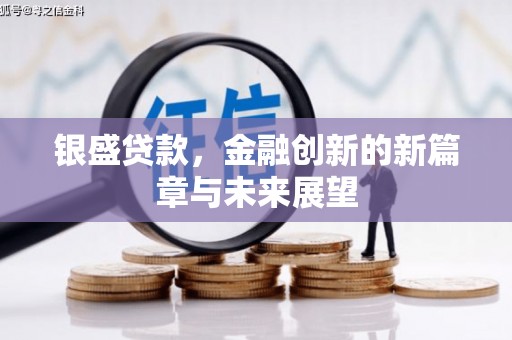 万丹银盛贷款，金融创新的新篇章与未来展望