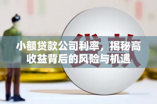 万丹小额贷款公司利率，揭秘高收益背后的风险与机遇