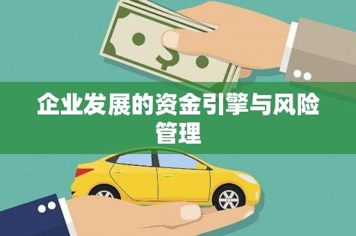 万丹企业发展的资金引擎与风险管理