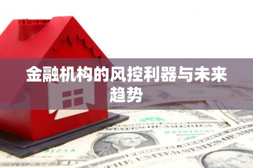 万丹金融机构的风控利器与未来趋势