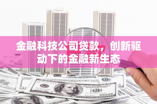 万丹金融科技公司贷款，创新驱动下的金融新生态