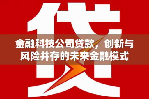 万丹金融科技公司贷款，创新与风险并存的未来金融模式