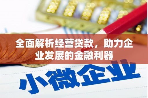 万丹全面解析经营贷款，助力企业发展的金融利器