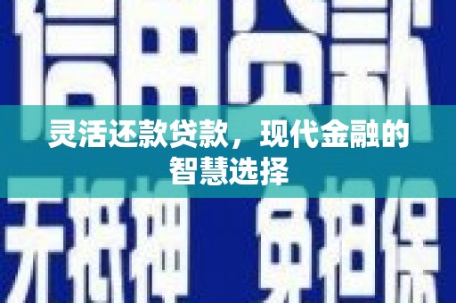 万丹灵活还款贷款，现代金融的智慧选择
