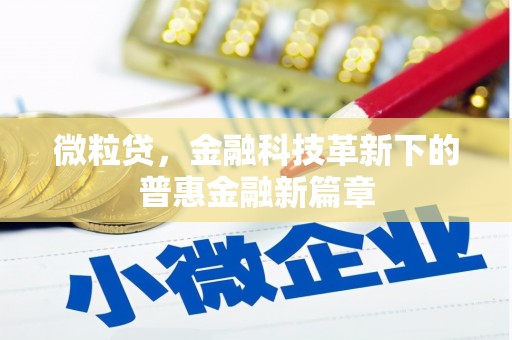万丹微粒贷，金融科技革新下的普惠金融新篇章