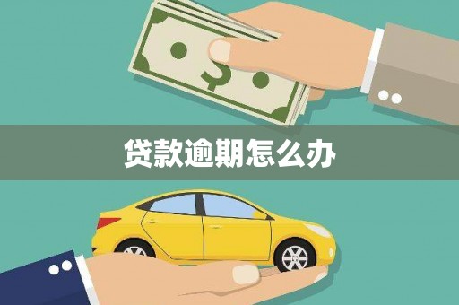 万丹贷款逾期怎么办
