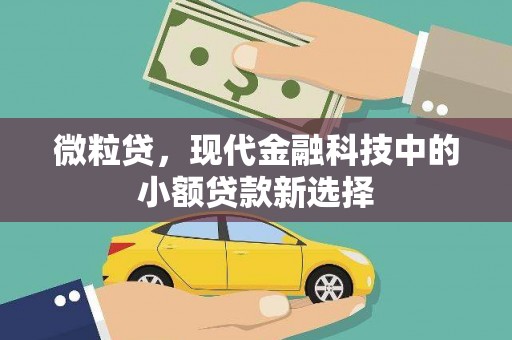 万丹微粒贷，现代金融科技中的小额贷款新选择
