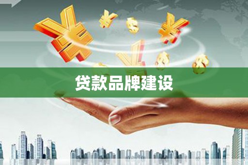 万丹贷款品牌建设