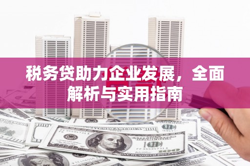 万丹税务贷助力企业发展，全面解析与实用指南
