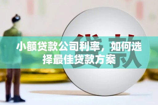 万丹小额贷款公司利率，如何选择最佳贷款方案