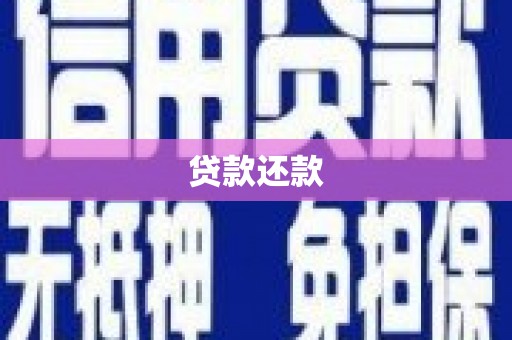 万丹贷款还款