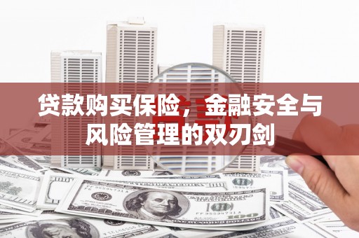 万丹贷款购买保险，金融安全与风险管理的双刃剑