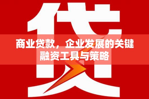 万丹商业贷款，企业发展的关键融资工具与策略