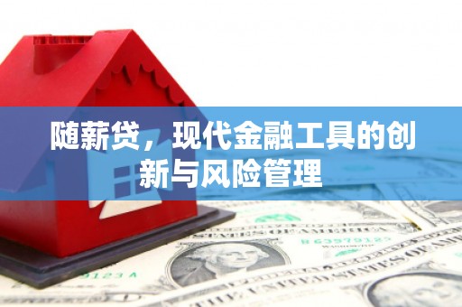万丹随薪贷，现代金融工具的创新与风险管理