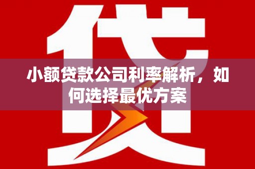 万丹小额贷款公司利率解析，如何选择最优方案