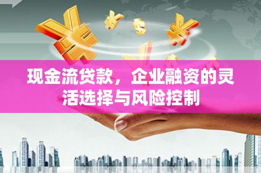 万丹现金流贷款，企业融资的灵活选择与风险控制