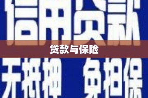 万丹贷款与保险