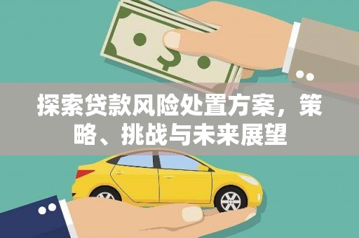 万丹探索贷款风险处置方案，策略、挑战与未来展望
