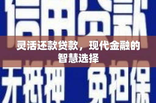 万丹灵活还款贷款，现代金融的智慧选择