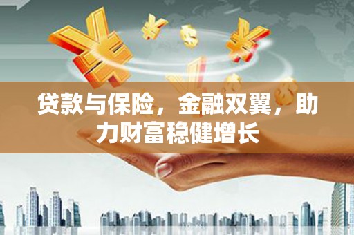 万丹贷款与保险，金融双翼，助力财富稳健增长
