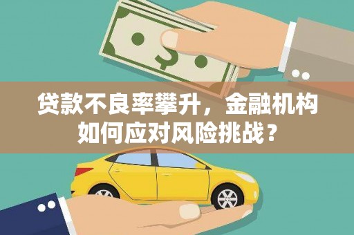 万丹贷款不良率攀升，金融机构如何应对风险挑战？