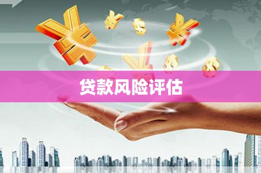 万丹贷款风险评估