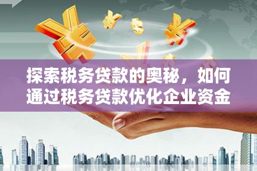 万丹探索税务贷款的奥秘，如何通过税务贷款优化企业资金流