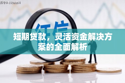 万丹短期贷款，灵活资金解决方案的全面解析