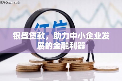 万丹银盛贷款，助力中小企业发展的金融利器