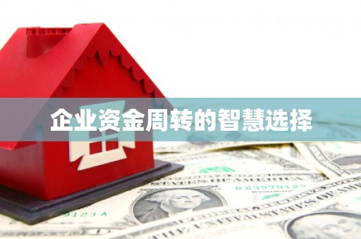 万丹企业资金周转的智慧选择