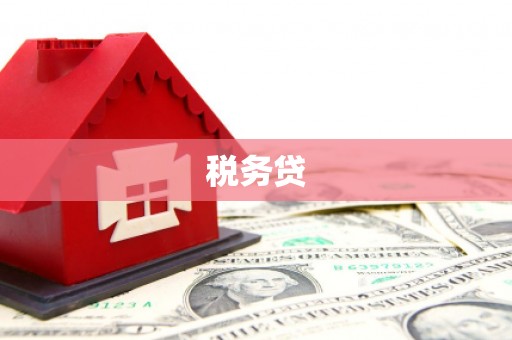 万丹税务贷