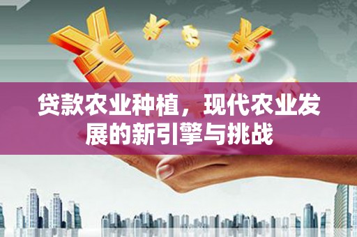 万丹贷款农业种植，现代农业发展的新引擎与挑战