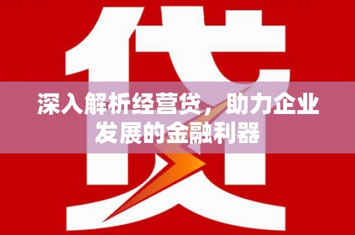 万丹深入解析经营贷，助力企业发展的金融利器