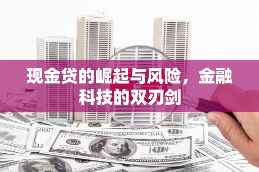 万丹现金贷的崛起与风险，金融科技的双刃剑