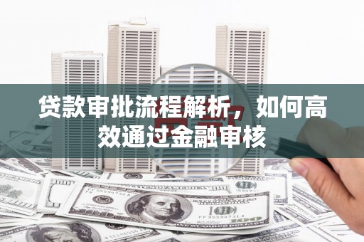 万丹贷款审批流程解析，如何高效通过金融审核