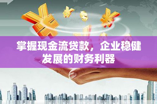 万丹掌握现金流贷款，企业稳健发展的财务利器