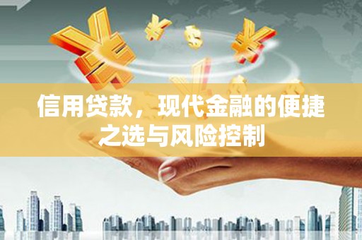 万丹信用贷款，现代金融的便捷之选与风险控制