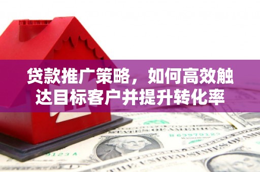 万丹贷款推广策略，如何高效触达目标客户并提升转化率