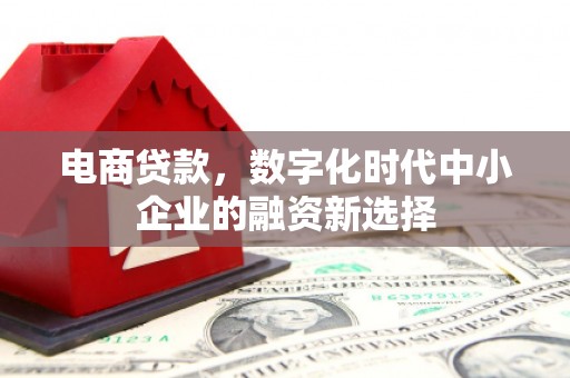 万丹电商贷款，数字化时代中小企业的融资新选择