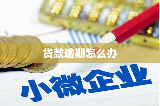 万丹贷款逾期怎么办