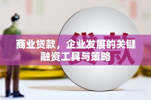 万丹商业贷款，企业发展的关键融资工具与策略