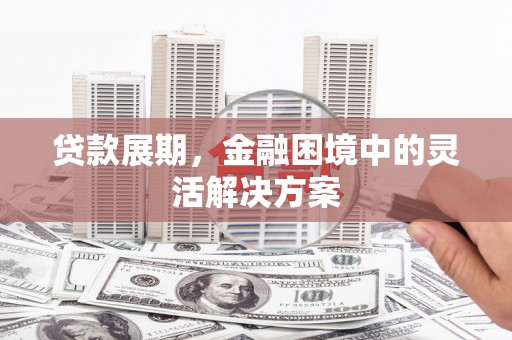 万丹贷款展期，金融困境中的灵活解决方案