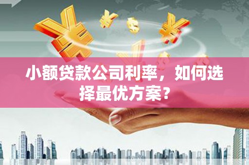 万丹小额贷款公司利率，如何选择最优方案？