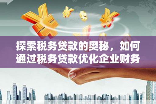 万丹探索税务贷款的奥秘，如何通过税务贷款优化企业财务