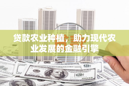 万丹贷款农业种植，助力现代农业发展的金融引擎