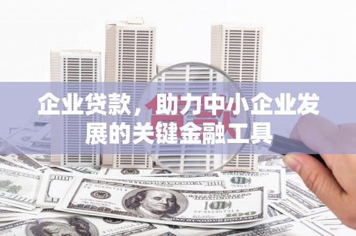 万丹企业贷款，助力中小企业发展的关键金融工具