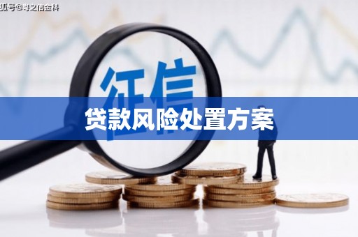 万丹贷款风险处置方案