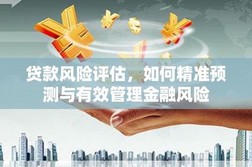 万丹贷款风险评估，如何精准预测与有效管理金融风险